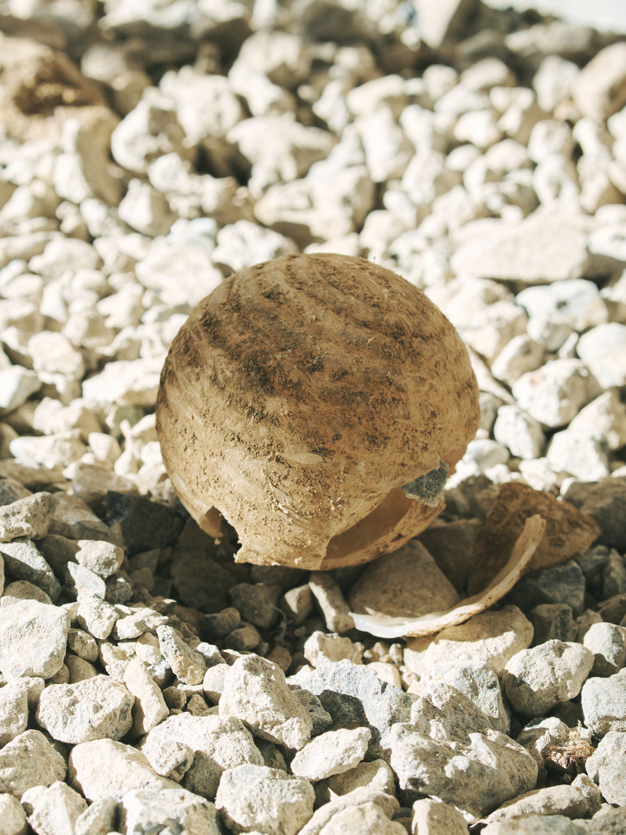 破砕された球（ボール）