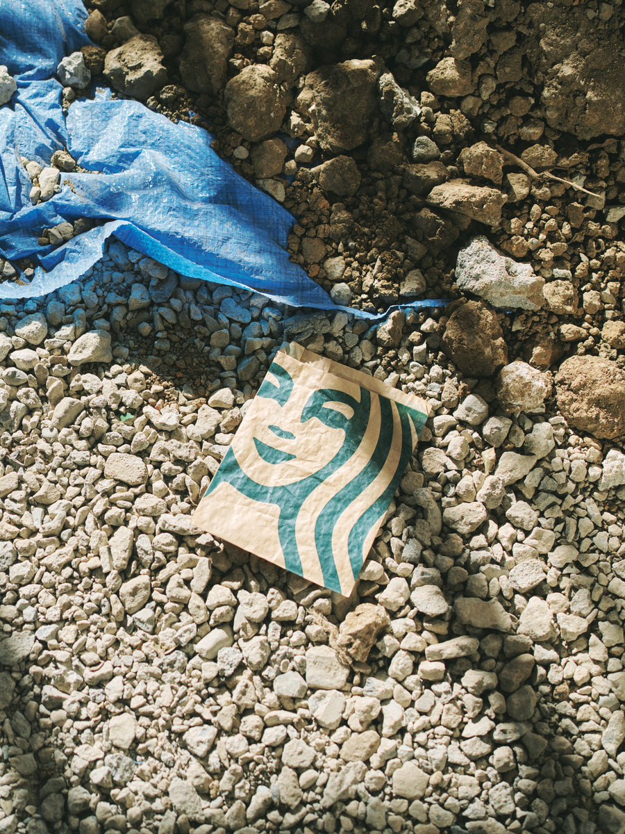 セイレーンの残響（紙袋）