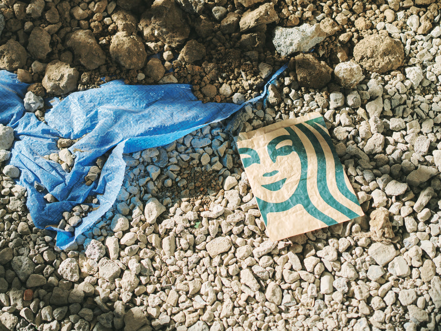 セイレーンの残響（紙袋）