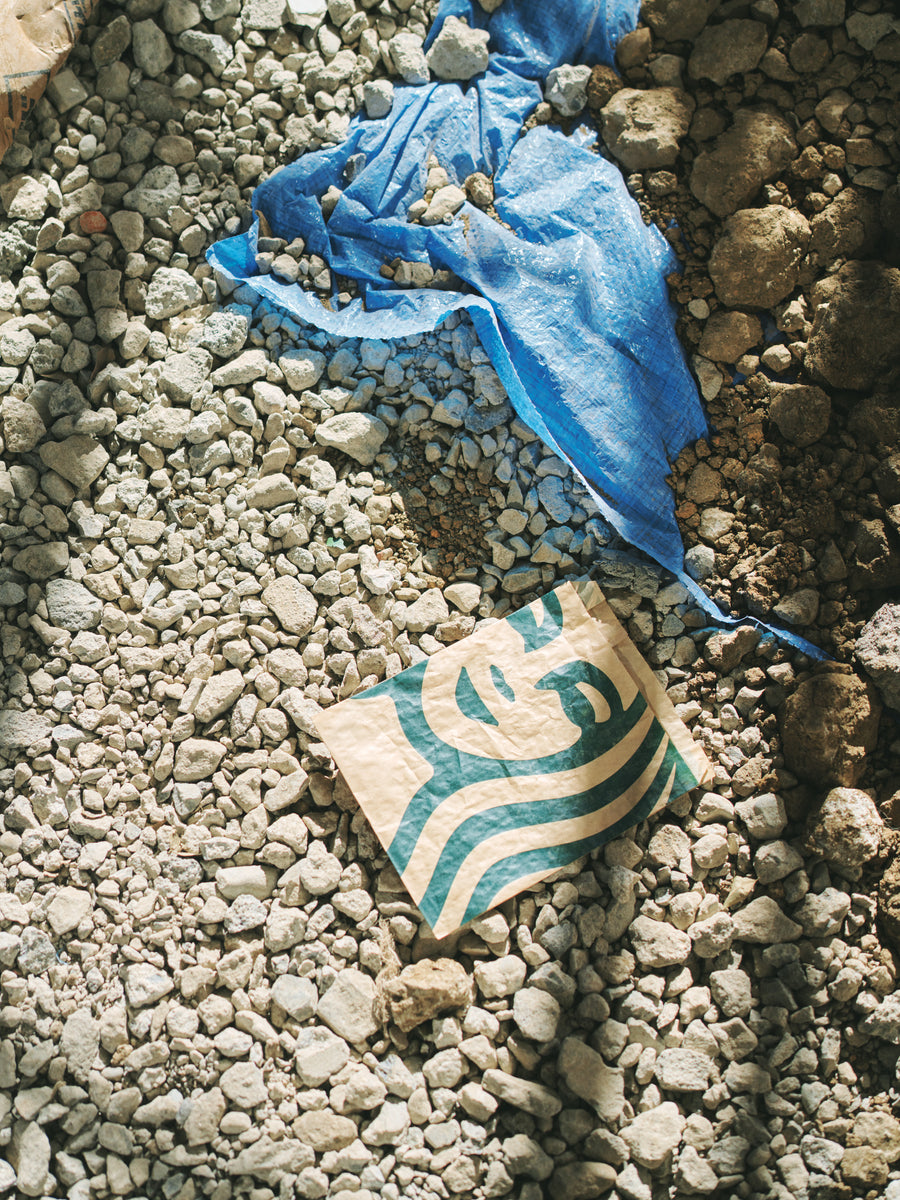 セイレーンの残響（紙袋）