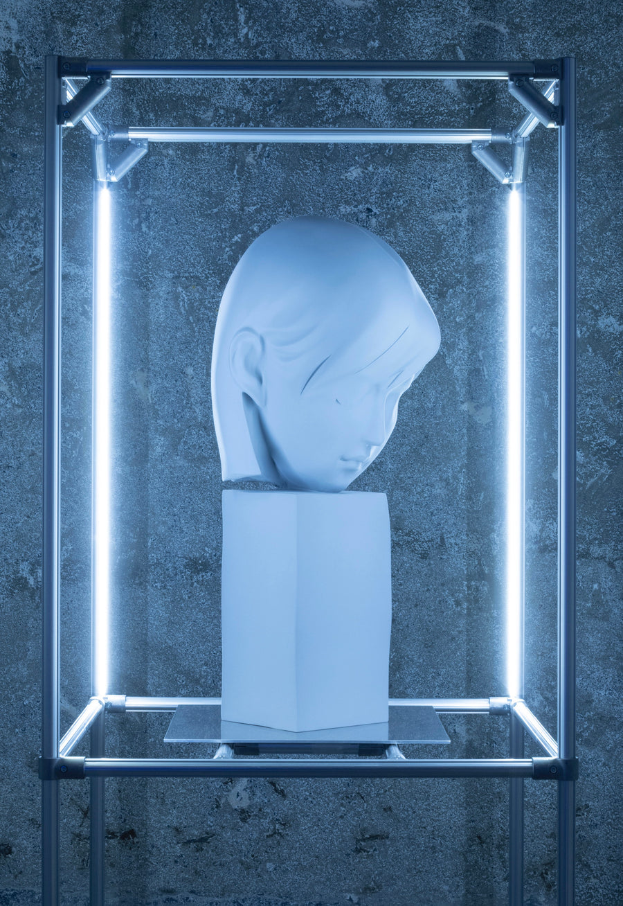 PUBLICAD<br>-公共性と広告性を再編集する/Re-editing the Narratives of the Public-（仮）